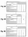 Fig. 10 - Recording apparatus and record medium