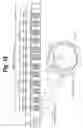 Fig. 14 - Recording apparatus and record medium