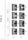 Fig. 09 - Image sensing apparatus with pre-flash and image sensing method for calculating flash illumination amount using degree of convergence
