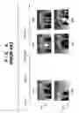 Fig. 10 - Image sensing apparatus with pre-flash and image sensing method for calculating flash illumination amount using degree of convergence