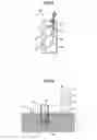 Fig. 06 - Powder supplying device and image forming device