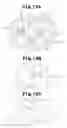 Fig. 10 - ROOTS-TYPE FLUID MACHINE