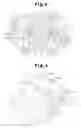 Fig. 04 - ROOTS PUMP