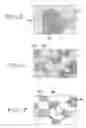 Fig. 04 - Method for producing a titanium metallic composition having titanium boride particles dispersed therein