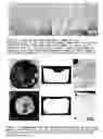 Fig. 04 - Hpdc Magnesium Alloy