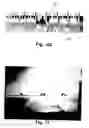 Fig. 08 - Method and System for Plasma Treatment Under High Pressure