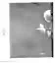 Fig. 05 - Method for Selectively Producing Ordered Carbon Nanotubes
