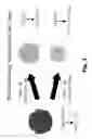 Fig. 04 - Fuel reformer catalyst and absorbent materials