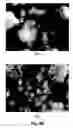 Fig. 23 - Fuel reformer catalyst and absorbent materials