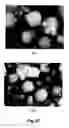 Fig. 24 - Fuel reformer catalyst and absorbent materials