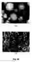 Fig. 25 - Fuel reformer catalyst and absorbent materials