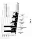 Fig. 33 - Fuel reformer catalyst and absorbent materials
