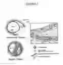 Fig. 02 - Methods of Enhanced Detection and Therapy of Inflamed Tissues Using Immune Modulation