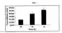 Fig. 08 - Radiolabeled Nanohybrids Targeting Solid Tumor Neovasculature and Method of Using Same
