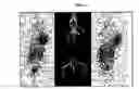 Fig. 14 - Radiolabeled Nanohybrids Targeting Solid Tumor Neovasculature and Method of Using Same