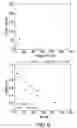 Fig. 11 - Heterodimers of glutamic acid