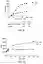 Fig. 13 - Heterodimers of glutamic acid
