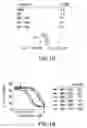 Fig. 17 - Heterodimers of glutamic acid