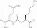 Fig. 80 - Heterodimers of glutamic acid