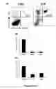 Fig. 07 - Methods of identifying compounds for the treatment of sterile inflammation