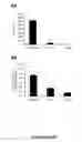 Fig. 10 - Methods of identifying compounds for the treatment of sterile inflammation