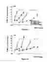 Fig. 03 - COMPOSITIONS AND METHODS FOR REDUCING RESPIRATORY DEPRESSION AND ATTENDANT SIDE EFFECTS OF MU OPIOID COMPOUNDS