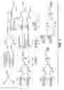 Fig. 09 - Use of glycodendrimer reagents for inhibiting adhesion by microorganisms