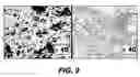 Fig. 11 - Use of glycodendrimer reagents for inhibiting adhesion by microorganisms