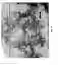 Fig. 04 - Delivery System for Topically Applied Compounds