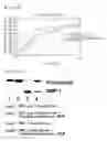 Fig. 08 - Composition for protection and improvement of skin, or reinforcing skin barrier function comprising phosphatidylserine