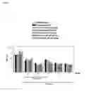 Fig. 03 - Compositions and methods for therapy or prevention of chemotherapy-induced neuropathy