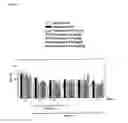 Fig. 04 - Compositions and methods for therapy or prevention of chemotherapy-induced neuropathy