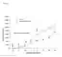 Fig. 33 - Compositions and methods for therapy or prevention of chemotherapy-induced neuropathy
