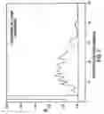 Fig. 06 - HSA-free formulations of interferon-β
