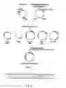 Fig. 02 - Herpes Virus-Based Compositions and Methods of Use