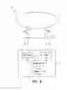 Fig. 07 - Bacteriophages that Infect Bacillus Bacteria (Anthrax)