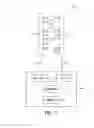 Fig. 08 - Bacteriophages that Infect Bacillus Bacteria (Anthrax)