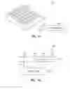 Fig. 10 - Bacteriophages that Infect Bacillus Bacteria (Anthrax)