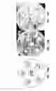 Fig. 16 - Bacteriophages that Infect Bacillus Bacteria (Anthrax)