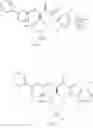 Fig. 715 - Small organic molecule regulators of cell proliferation
