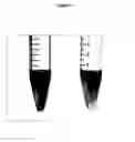 Fig. 02 - Microorganism of the genus capable of binding to and compositions comprising the same
