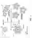 Fig. 05 - Cold storage of modified platelets