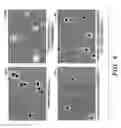 Fig. 07 - Cold storage of modified platelets