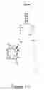 Fig. 16 - Activatable photodynamic therapy agents