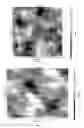 Fig. 04 - Self-directing and self-assembling nanomedicine into quantized conductance junctions and its process