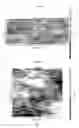 Fig. 05 - Self-directing and self-assembling nanomedicine into quantized conductance junctions and its process