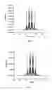 Fig. 12 - Self-directing and self-assembling nanomedicine into quantized conductance junctions and its process