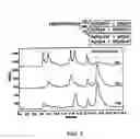 Fig. 04 - Therapeutic enzyme formulations and uses thereof in celiac sprue and/or dermatitis herpetoformis
