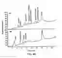 Fig. 06 - Therapeutic enzyme formulations and uses thereof in celiac sprue and/or dermatitis herpetoformis