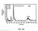 Fig. 08 - Therapeutic enzyme formulations and uses thereof in celiac sprue and/or dermatitis herpetoformis